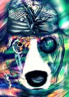 2019-10-10/3cd0a2060d567670839617eb55c2f14e_24b4888d10b5fc07a4b8322a53265c23