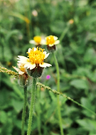 2019-10-10/d01311168bb311b49e72e58562c0684a_f05ceb2cc12d625858768ea0cf20b75b