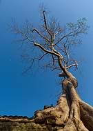 2019-10-11/0dca85c3ce262b17e60f7af0845f0fd6_2b4bcef4d249e85d6b542f8abfc5b43a