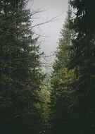 2019-10-11/4b4273ca3e72497deb49248d9d5fc1ec_27ca3efb930519e403c8db1131b6f875