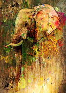 2019-10-11/e84c54ea959e95ed474e9644faf050ec_79d7084ff636ac619a9cc4ab8aae33eb