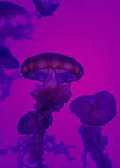 2019-10-11/febf6e60dfb2367218b518b204da6cc6_140dceae9ec7b8407108586f42cd1a2b