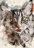 2019-10-14/db19cc64ae9398e4b3511da3caf4dd07_dca92f0cdac9a9ef7ceaca6570525a48