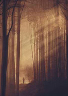 2019-10-15/4b6f8fb2f9d2b922ed115ab5036b538b_2d91e26ec7191565f6e69f9108db4be8