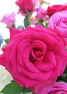 2019-10-16/0a263c7ceafe80c9bfb0934e2f8e8d26_078d9e99a4c0959a335b9812153a0f99