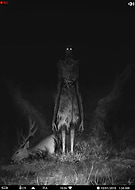 2019-10-18/093a44584aa6923e06ba024d4c2d9b7d_9daccdca18ce03e0608ce331625ff8ca