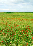 2019-10-23/ac266799407cf2f11172f7d3a25b05f0_78da74473560d6af8ba8f09e75db8594