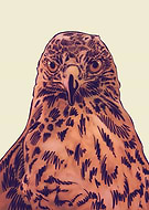 2019-10-23/b71b2ec1b23b50c8abb64a99d6bfe083_3d2012d99d1109532a01cf13777d5bad