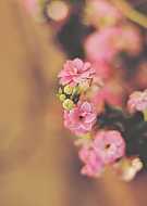 2019-10-23/d01e542ffb1a319412a8a8f4af46f6df_e471451bc1a9597beb221256d7725f2b