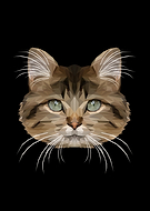 2019-10-25/5ead90c3392f42e900e1a8b1975b8110_d6961468430efb5cb628f0d7e69d4413