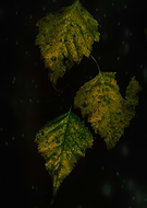 2019-10-25/f1cbf173f40769db8cd7ce768db18371_be438d0706d8eff908c95fdc4a38e140