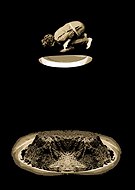 2019-10-26/9c8640a637c80a4c692c26a683065585_2843181e556369bff4ee4aff61f1cf88