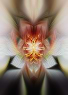 2019-10-26/cf4118485bdaa020bf084938508df794_0642608a0f6dd101db364db13a57d0bd