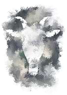 2019-10-27/f0622a29c6b6400e6a40ed6e0d172777_8cc8ad9e14df3530a49d125b90de33ae