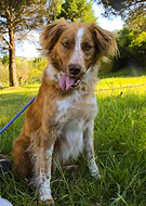 2019-10-29/ad609a4c64a8377b51ecaa64ba5fc741_0aafe9cbe1de05d1654ba77e1bf7df37