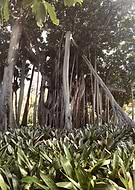 2019-10-29/f2ef5faf1cf0831d000c4bddf72d457f_c960e2b81bc0ed4cb18b8dac15b4278c