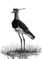 2019-10-30/11fbc4cb4a5c557287e382b182b9be14_ca37e17b2fe06d1c545a88029c750fa0