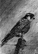 2019-10-30/56a3a9239ebe76e1c8e9eb1d3c22fbe2_424f55d9fa159495ffaf65f14a7c58c2