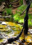 2019-10-31/3fb5ca169ccc8469b5b27547f8f47467_091d953e74686723c6d1650d3d28c5ef