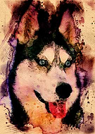 2019-11-02/26d625a3fd769eb00241cb7fd9e160aa_426ba144016806f88e2a3120e61fde2e