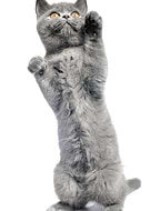 2019-11-02/d5d8274fa3006ad27862f93075a3dddc_f9be1de2e083ab13153b970acd912c8a