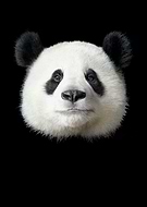 2019-11-05/d2aea76b2388c4727faf996dacc5ea2a_838f99b574906ca3a2fd5b65fa83520b