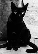 2019-11-07/6acb90e5ad95d47a48ca7303674e37a0_0ce9320dc022d1cc05b60c9580316556