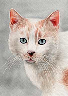 2019-11-07/823335304bd004346b5a690603cc256a_ceccaacaf1ff359fb39994e5ad2e4928