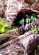 2019-11-07/ab00088a3294146e27015cab60a2e9e2_b07bd48559bce667c16298930f43dd02