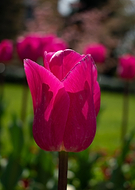 2019-11-08/9237783334f84569975a43bf3d1d4bde_e588146d2ca28b902f630876b6fda77a