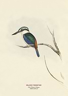 2019-11-09/5cdafeb3b2c74749918242a38a3b3dfb_a534381def1dae1ce355391229ef4779