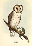 2019-11-10/9b43671f6262f79d74cdc4d20dcbb302_9310c8355d498101773423ade6374791