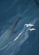 2019-11-10/a9bb986e697fe55c1fc42d8178849937_bbc0588f1d52dadd26d4a03bb72ca29c