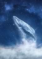 2019-11-12/05b0d60254fe690dbef2744b404cecb2_97e21078eac4aa6bbb27dc0c2fb578d0