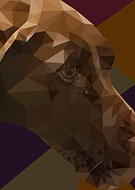 2019-11-12/2d0d7720dc35872e96738aa17bafc934_88531972b6246aa6120a3483adc9ab74