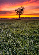 2019-11-15/c2eabf9bc9cab5709b13b97ad7d2c7bf_628f98b18fdadf23882632cf00205dd0