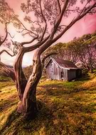 2019-11-16/3bcbf3e737e1d284a7e6fee917877ad9_02b5db9b71d1024f235d78f9878873fe