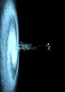 2019-11-19/bc090a737bdaed6c8c70cfd6997341f2_78fb093873a1e1cecd52d43c4db1bf86