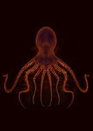 2019-11-22/ecbf6bd355c9fd8011555d53eb6c3956_f5ccabd9d06ec635984067d20a24dd00