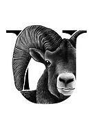 2019-11-27/50778d01e14bb6bb46af46eb0dc1d2a7_1c7c6958fc1714f65a873be33a31187e