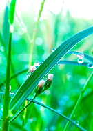 2019-11-27/5cb3e343e0293ad180a719b7a12ca874_6bfb49cb8c0f5901fe6d18dcc46d4a65