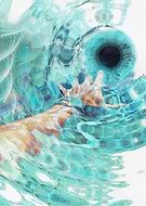 2019-11-27/6fbba653670539536ace8561880021c7_cb9194796d5617d9c71bba5c949f951f