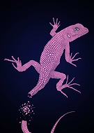 2019-11-27/7e926979d0a7019d4223c406c0e95cb7_8e98df4e5de5cd5932174df91a944093