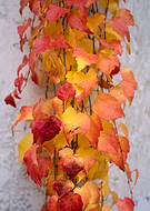 2019-11-27/880a5e2768e5b3de60f38a83701ef53c_fb7c5f88c29a36e9034e773e2ebacb7f