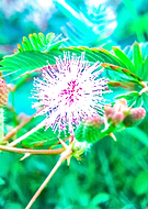 2019-11-27/93153354a7e7955c1db35a8950dc927c_77bc410327a3e6730462ff6b804aaa8e