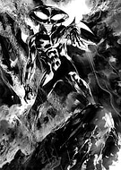 collection-preview-3