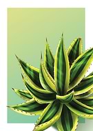 2019-11-27/f7780f40c0135e51c2b63a5b737dcf0c_67765d0ae1a41b3d8a05dca10a58b05a