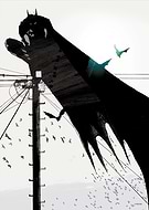 collection-preview-3