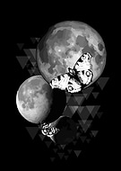 2019-11-28/aaa299a1e5aac32e7c625557152ebe75_3e4e49e6f6ea40a6e7f526549bb0386d