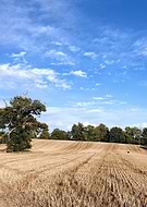 2019-11-29/1b6b08da689c10f111e564c0386f8a47_10e4a0266dbfc4b7e3025f073bf17eae